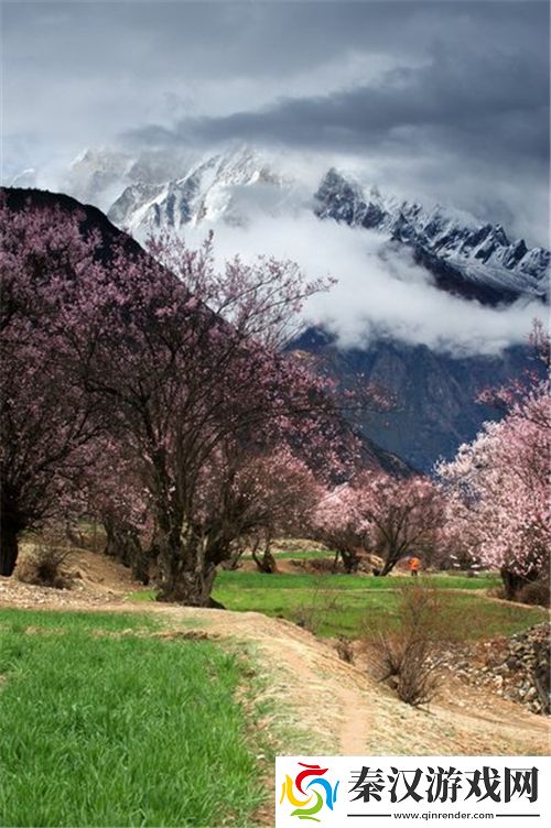 鱼水之欢宜早春山