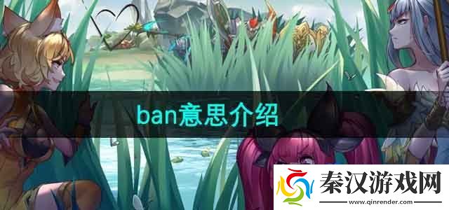 王者荣耀ban是什么意思